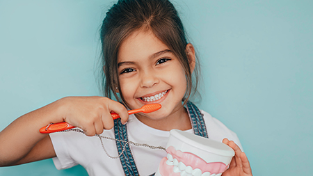 Village Dental of Leesburg | Extractions, Dental Cleanings and Oral Hygiene